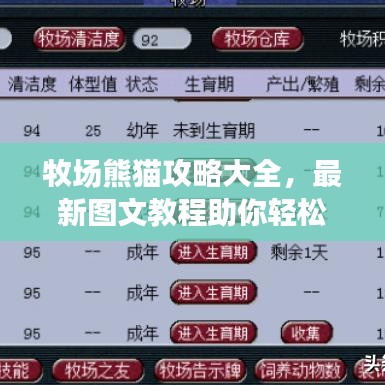 牧场熊猫攻略大全,最新图文教程助你轻松玩转游戏!