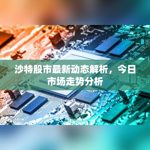 沙特股市最新动态解析,今日市场走势分析