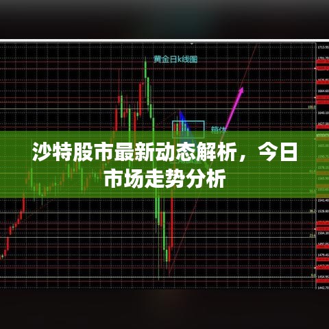 沙特股市最新动态解析,今日市场走势分析