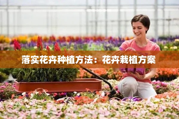 落实花卉种植方法:花卉栽植方案