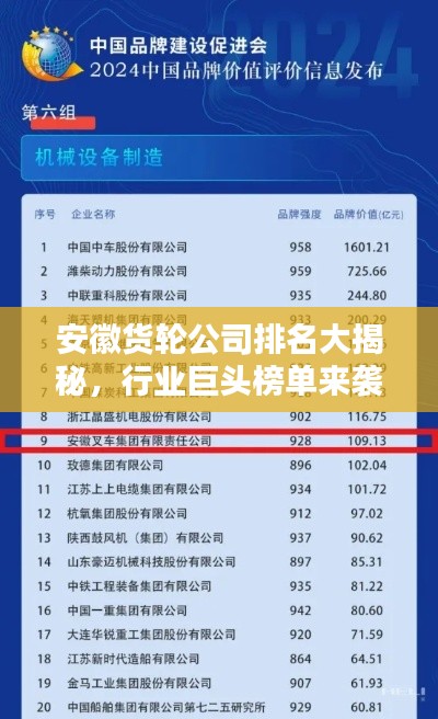 安徽货轮公司排名大揭秘,行业巨头榜单来袭!