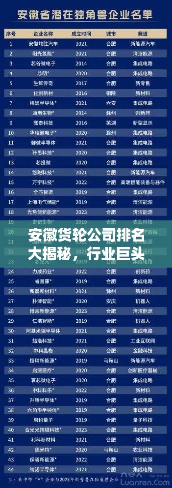 安徽货轮公司排名大揭秘,行业巨头榜单来袭!