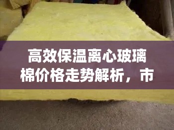 衣无二彩 第3页