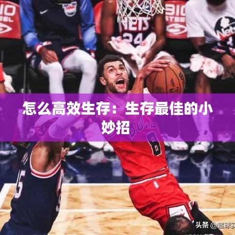 怎么高效生存:生存最佳的小妙招