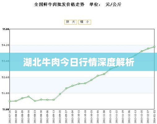 湖北牛肉今日行情深度解析