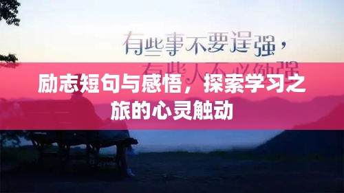 励志短句与感悟,探索学习之旅的心灵触动