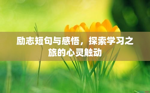 励志短句与感悟,探索学习之旅的心灵触动