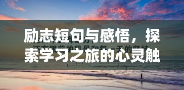 励志短句与感悟,探索学习之旅的心灵触动