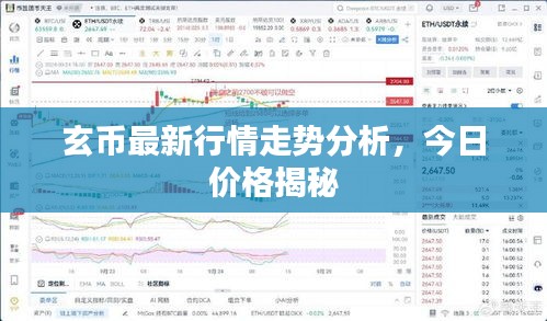 玄币最新行情走势分析,今日价格揭秘