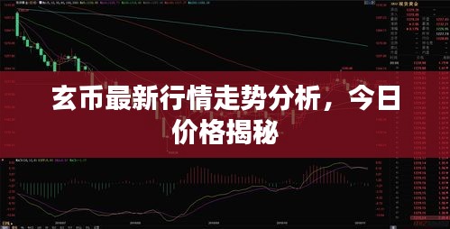 玄币最新行情走势分析,今日价格揭秘