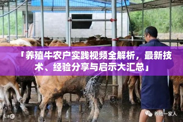 「养殖牛农户实践视频全解析,最新技术、经验分享与启示大汇总」