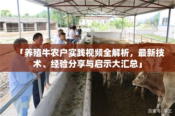 「养殖牛农户实践视频全解析,最新技术、经验分享与启示大汇总」
