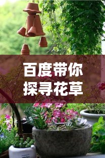百度带你探寻花草间的诗意,共赏自然之美