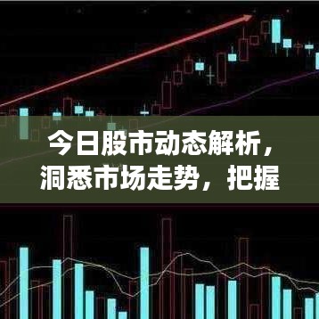 今日股市动态解析,洞悉市场走势,把握实盘炒股先机