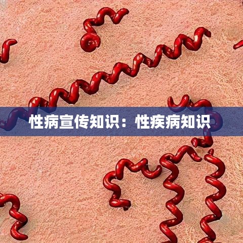 性病宣传知识:性疾病知识