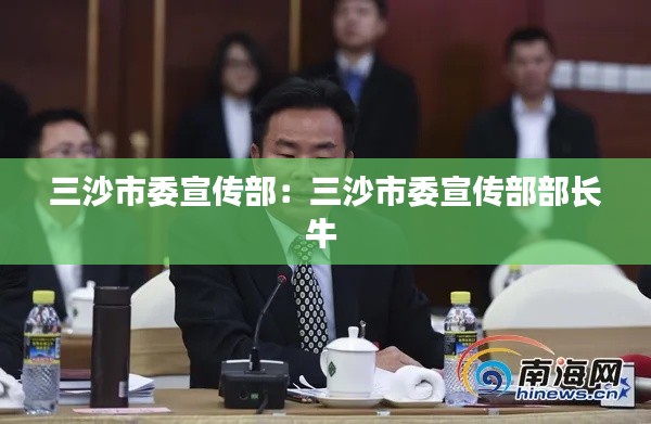 三沙市委宣传部:三沙市委宣传部部长牛