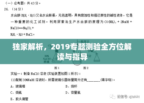 独家解析,2019专题测验全方位解读与指导