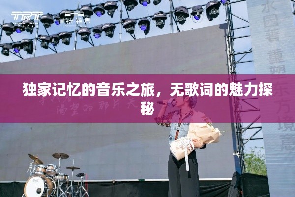独家记忆的音乐之旅,无歌词的魅力探秘