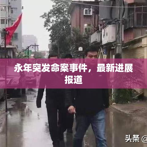 永年突发命案事件,最新进展报道