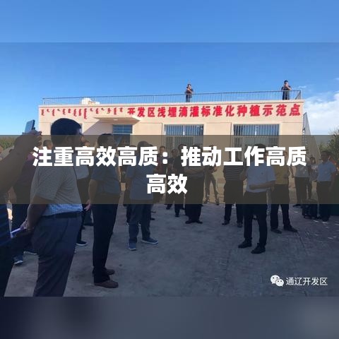 注重高效高质:推动工作高质高效