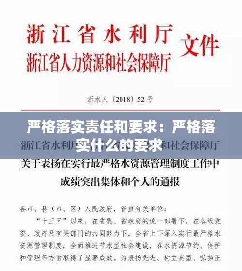 严格落实责任和要求:严格落实什么的要求