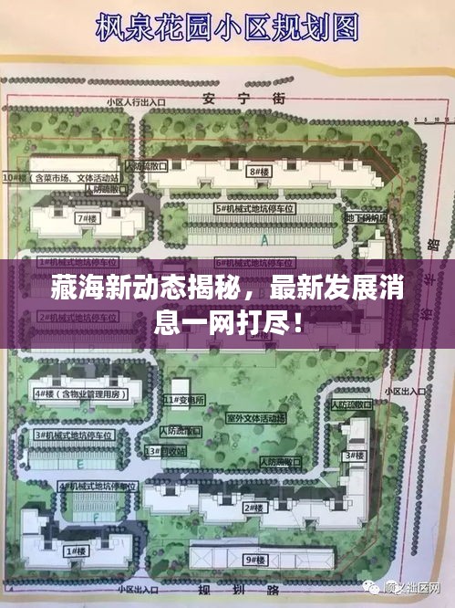藏海新动态揭秘,最新发展消息一网打尽!