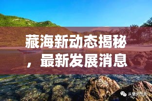 藏海新动态揭秘,最新发展消息一网打尽!
