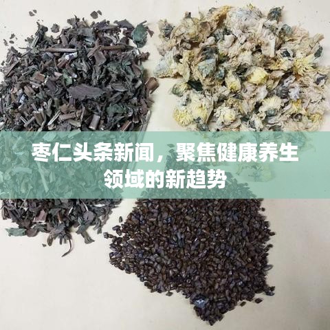 枣仁头条新闻,聚焦健康养生领域的新趋势