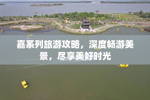 行将就木 第3页