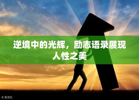 逆境中的光辉,励志语录展现人性之美
