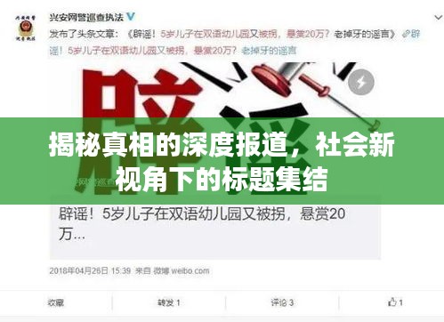 揭秘真相的深度报道,社会新视角下的标题集结
