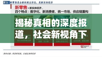揭秘真相的深度报道,社会新视角下的标题集结