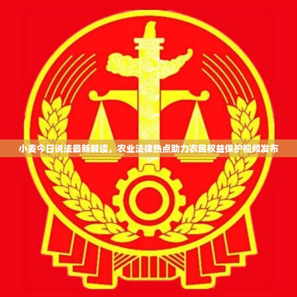 小麦今日说法最新解读,农业法律热点助力农民权益保护视频发布