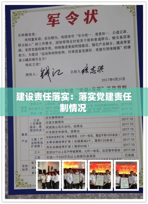 建设责任落实:落实党建责任制情况