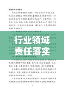 行业领域责任落实:行业领域整治实施方案