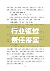 行业领域责任落实:行业领域整治实施方案