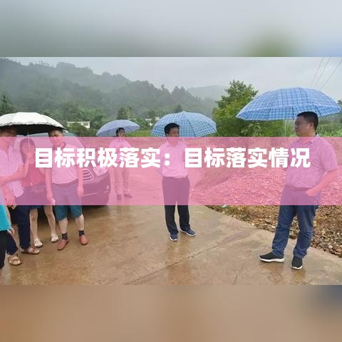 目标积极落实:目标落实情况
