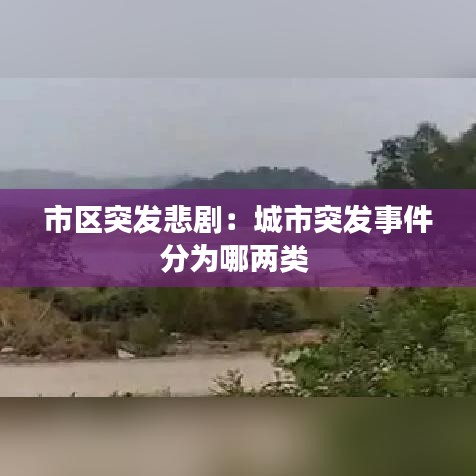 市区突发悲剧:城市突发事件分为哪两类