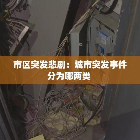 市区突发悲剧:城市突发事件分为哪两类