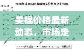 美棉价格最新动态,市场走势及影响因素全解析