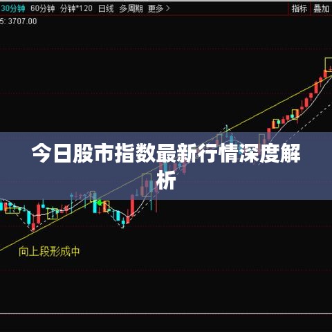 各就各位 第4页