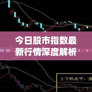 今日股市指数最新行情深度解析