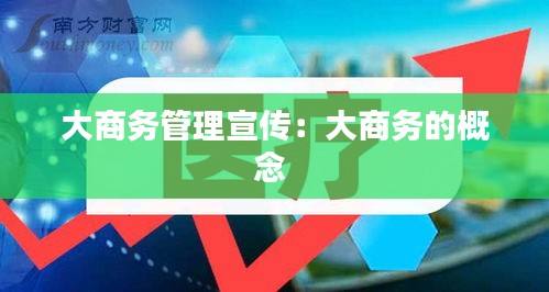 大商务管理宣传:大商务的概念