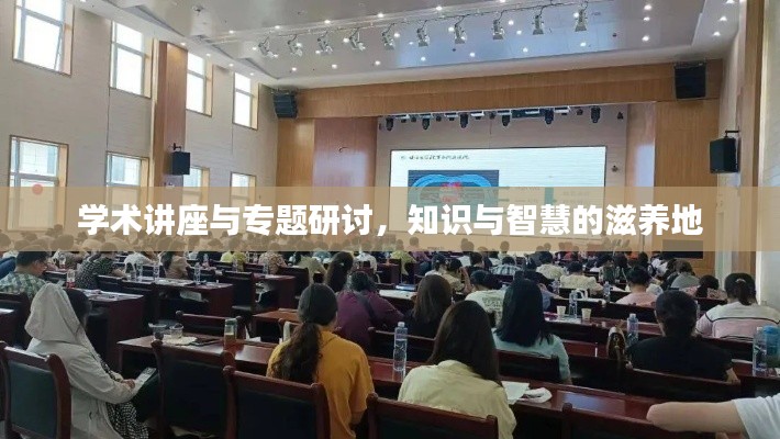 学术讲座与专题研讨,知识与智慧的滋养地