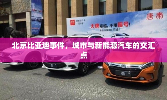 北京比亚迪事件,城市与新能源汽车的交汇点