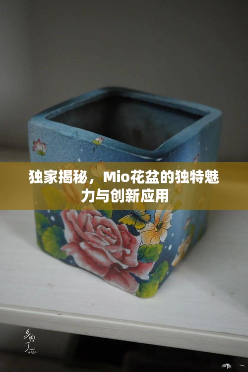 独家揭秘,Mio花盆的独特魅力与创新应用