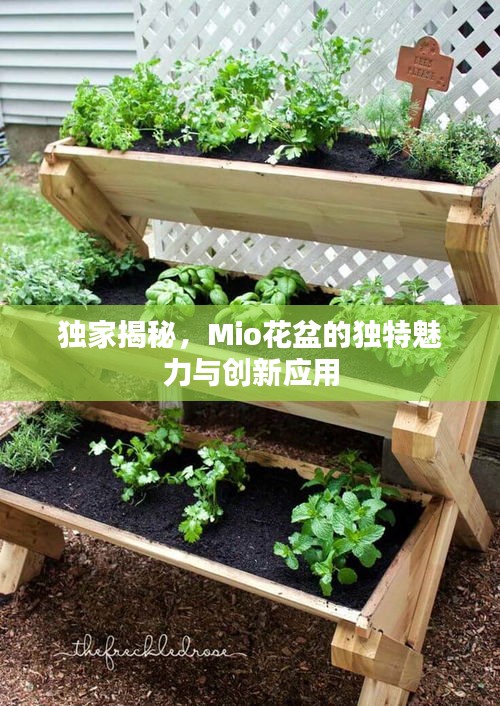 独家揭秘,Mio花盆的独特魅力与创新应用