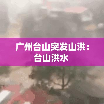 广州台山突发山洪:台山洪水