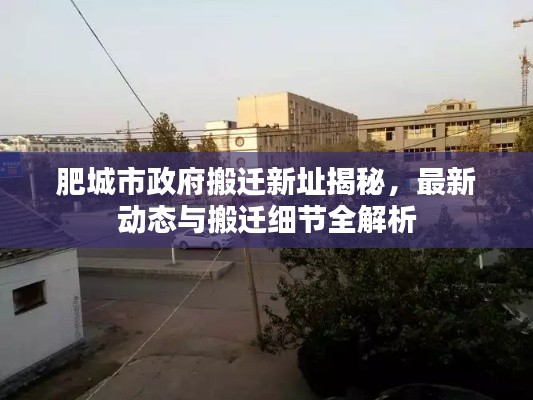 肥城市政府搬迁新址揭秘,最新动态与搬迁细节全解析