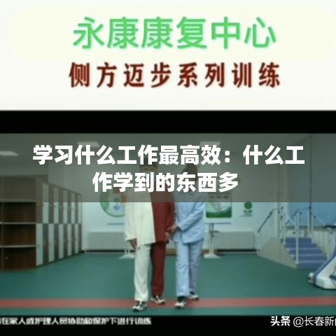 学习什么工作最高效:什么工作学到的东西多